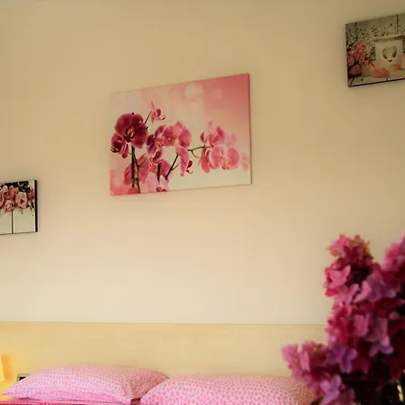 Zefiro Frühstückspension 4*